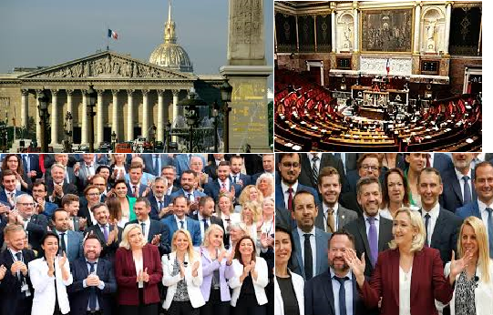 french assembly_1